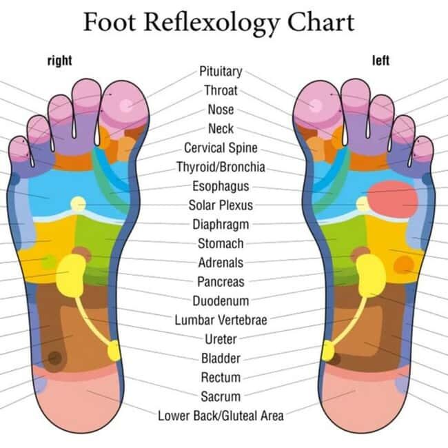 Puerto Vallarta: Foot Reflexology and Tired Legs Massage - Key Points