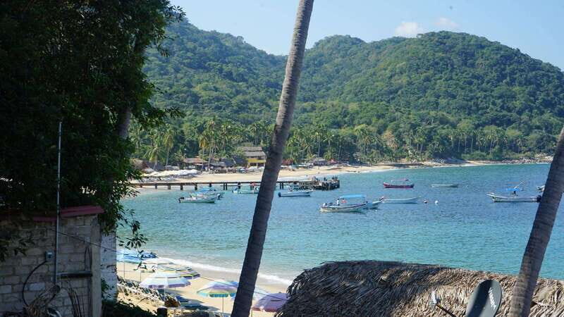 Puerto Vallarta: Hidden Beaches and Sea Adventures - The Value Proposition