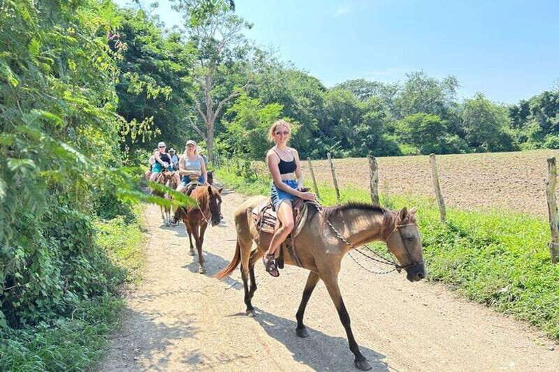 Puerto Vallarta: Horseback Riding, Lunch & Unlimited Drinks - An In-Depth Look at the Tour Experience
