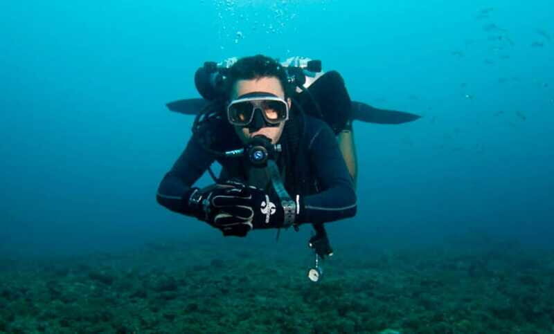Puerto Vallarta: La Corbeñeta Underwater Exploration - An Honest Look at Puerto Vallarta’s La Corbeñeta Underwater Tour