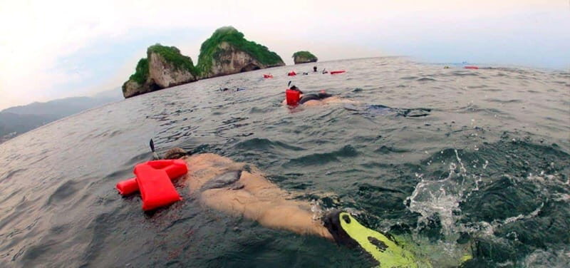 Puerto Vallarta: Los Arcos Snorkeling Tour - Authenticity and Value