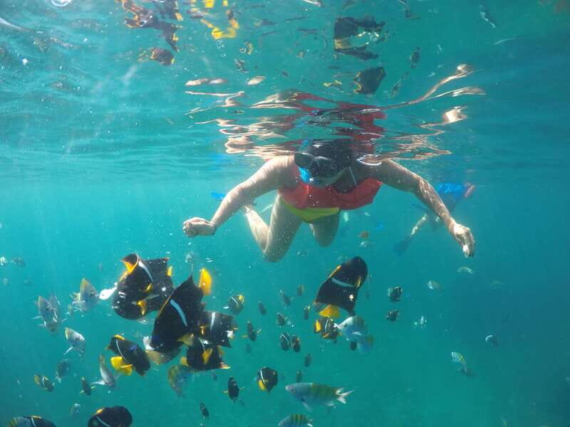 Puerto Vallarta: Luxury Yacht Tour with Lunch and Open Bar - An Introduction to the Tour