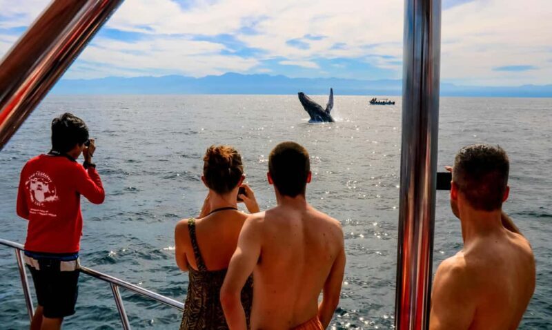 Puerto Vallarta: Mega Yacht Whale Watching Sunset Cruise - What Makes It Stand Out