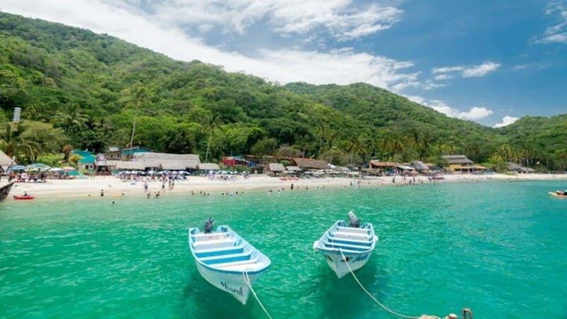 Puerto Vallarta: Predator Catamaran Adventure - Introduction