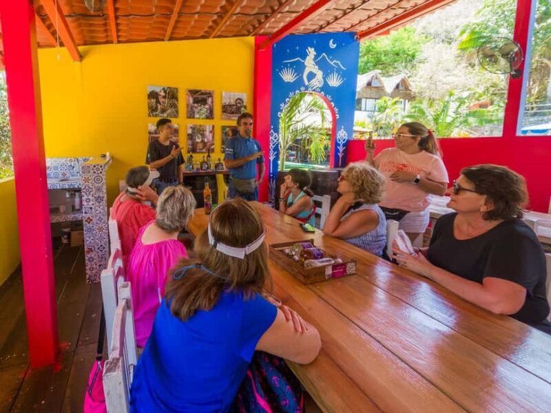 Puerto Vallarta: Sayulita and San Pancho Beaches Tour - FAQ
