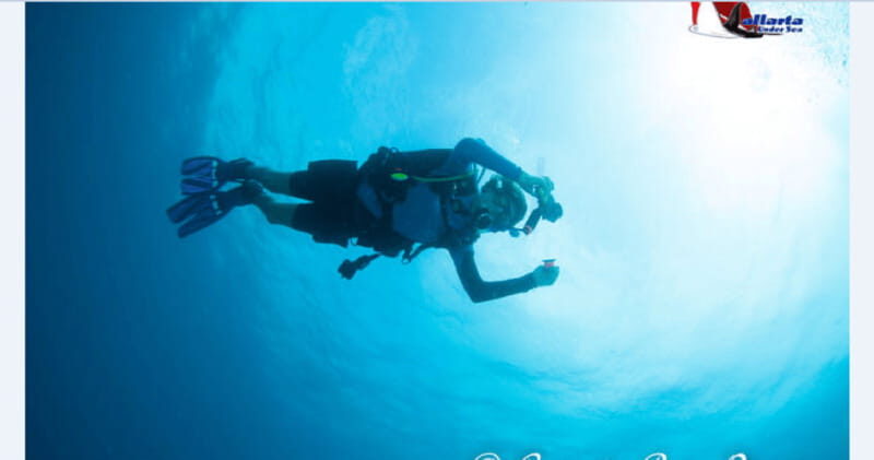 Puerto Vallarta: Scuba Diving en el Morro - An In-Depth Look at the Experience