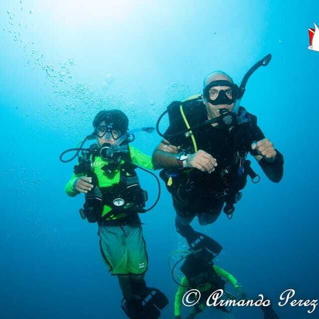 Puerto Vallarta: Scuba Diving Expedition at El Malinal - The Experience: What to Expect on Your Underwater Adventure