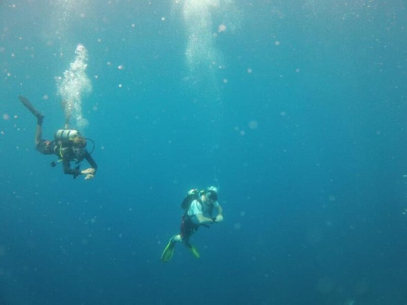 Puerto Vallarta: Scuba Diving Expedition at El Malinal - The Sum Up