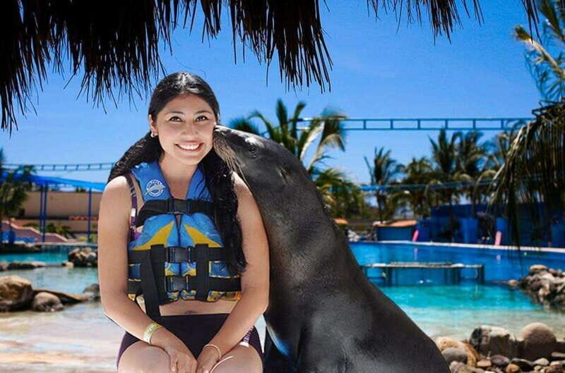 Puerto Vallarta: Sea Lion Discovery at Aquaventuras Park - An Overview of the Sea Lion Experience