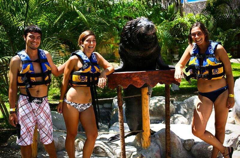 Puerto Vallarta: Sea Lion Discovery at Aquaventuras Park - What You Can Expect During the Encounter