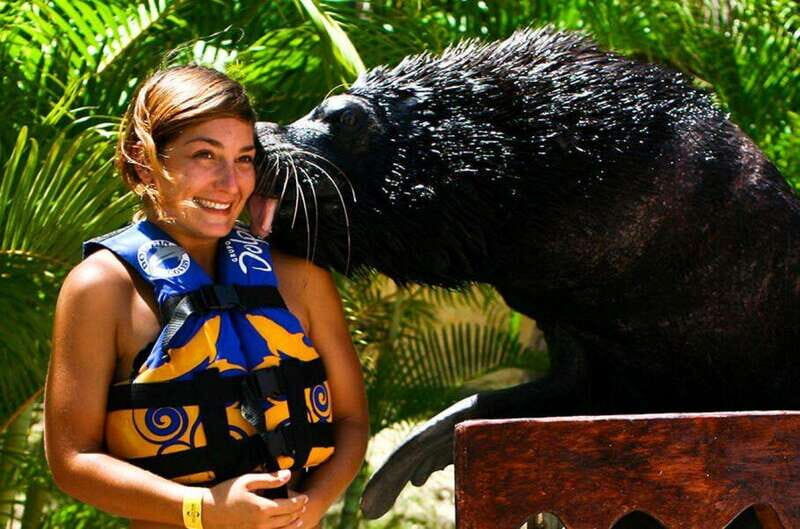 Puerto Vallarta: Sea Lion Discovery at Aquaventuras Park - The Experience in Detail