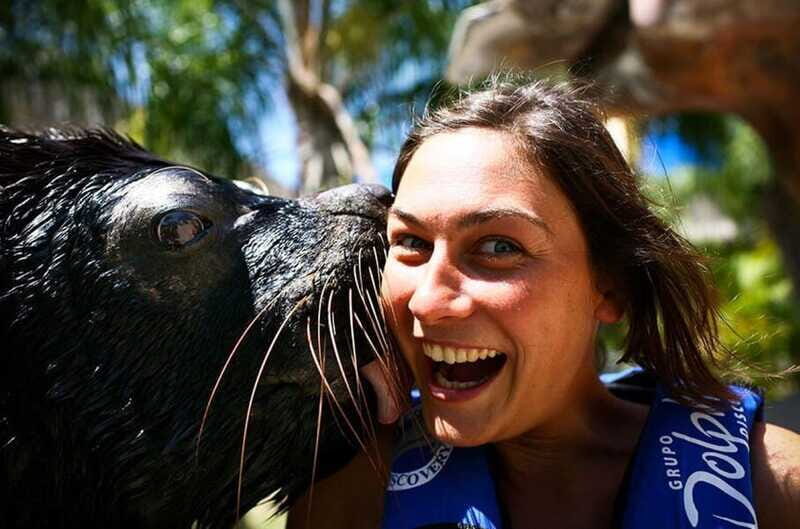 Puerto Vallarta: Sea Lion Discovery at Aquaventuras Park - Final Thoughts