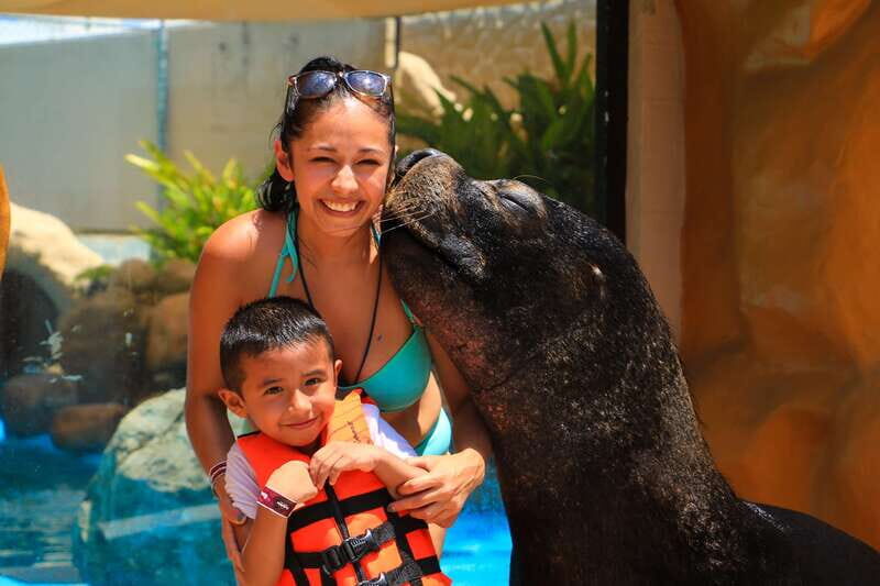 Puerto Vallarta: Sea Lion Discovery - An Honest Look at the Experience