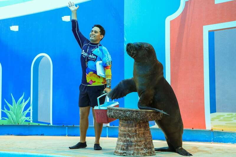 Puerto Vallarta: Sea Lion Discovery - Final Thoughts