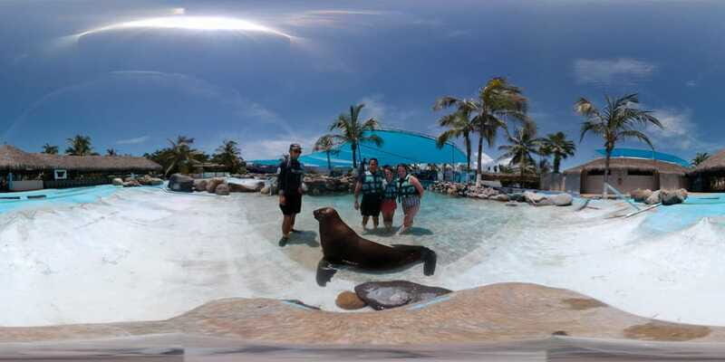 Puerto Vallarta: Sea Lion Discovery - FAQs
