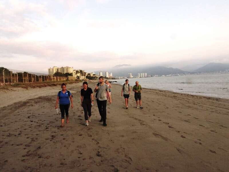 Puerto Vallarta: Sea turtle release at Sunset - Key Points
