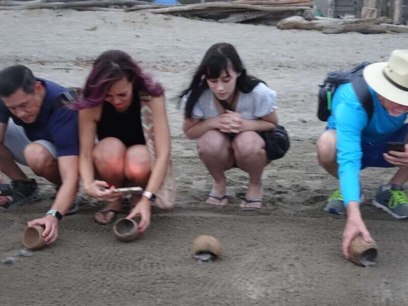 Puerto Vallarta: Sea turtle release at Sunset - The Sum Up: Who Is This Tour For?