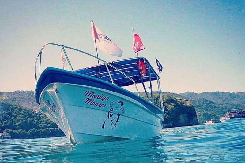 Puerto Vallarta: Snorkeling Tour to Los Arcos de Mismaloya - Value and Pricing