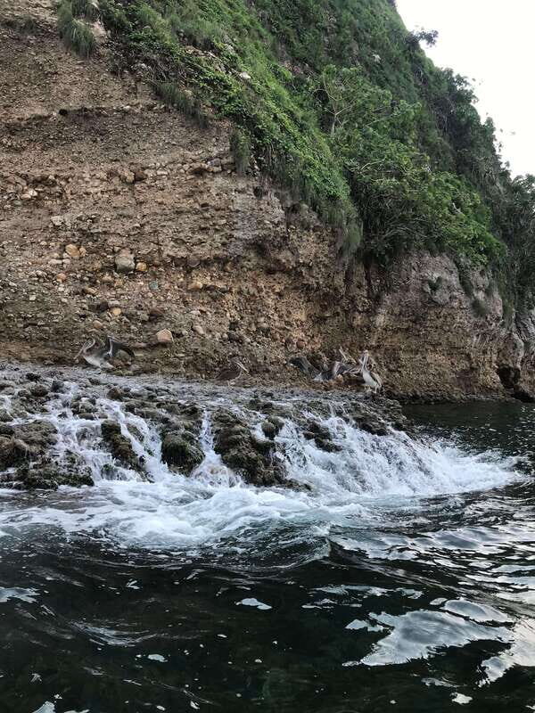 Puerto Vallarta: Snorkeling Tour to Los Arcos de Mismaloya - Authentic Experience and Local Charm