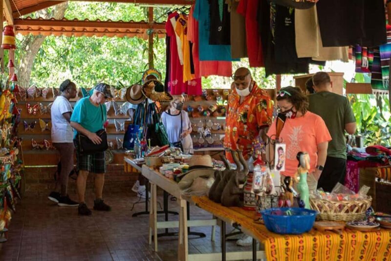 Puerto Vallarta: Tropical Tour - Key Points