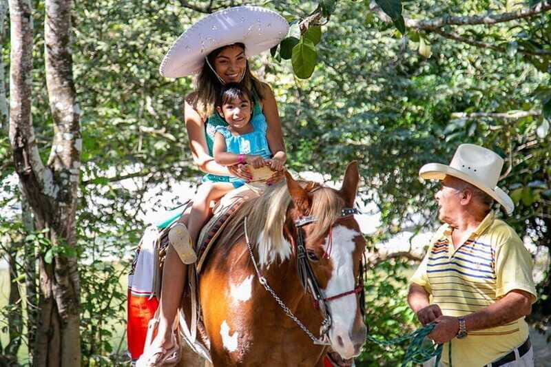 Puerto Vallarta: Tropical Tour - FAQs