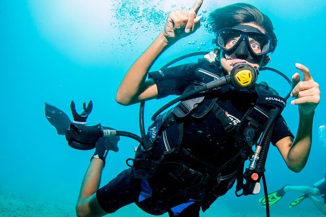 Puerto Vallarta Undersea Private Scuba Diving - The Itinerary Breakdown: What to Expect