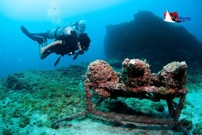 Puerto Vallarta Undersea Private Scuba Diving - The Experience Through Reviewers Eyes