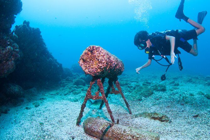 Puerto Vallarta Undersea Private Scuba Diving - Who Is This Tour Ideal For?