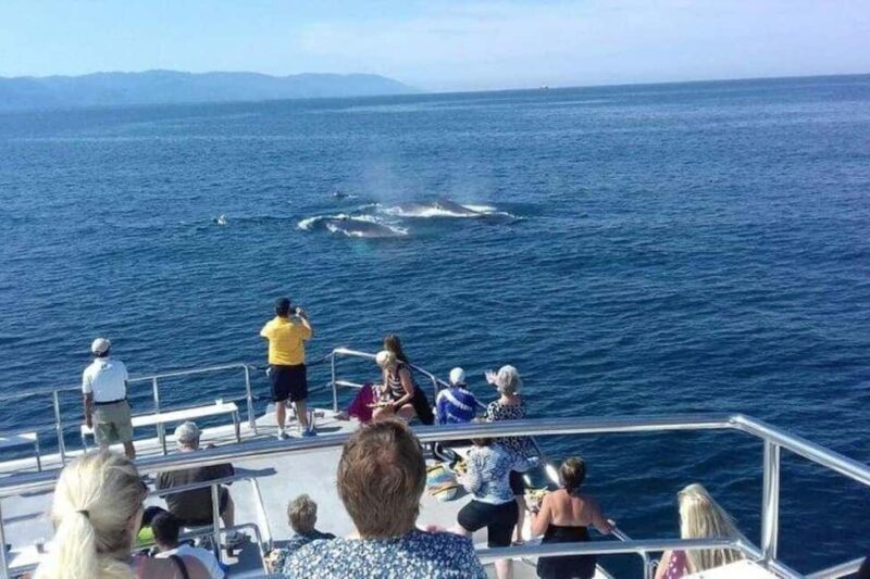 Puerto Vallarta: Whale Watching Beach Bay - Comfort and Practicalities