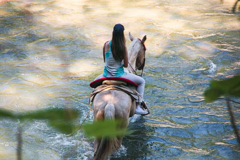 Puerto Vallarta: Wild Tour Horseback Adventure - An In-Depth Look at the Wild Tour Horseback Adventure