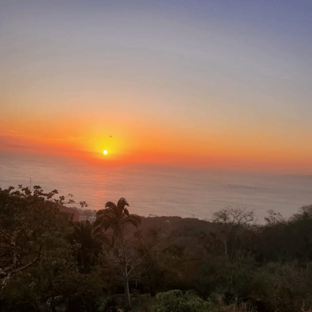 Puerto Vallarta: Zipline Experience and Tour - Exploring Puerto Vallarta’s Heart: Old Town and Zona Romantica