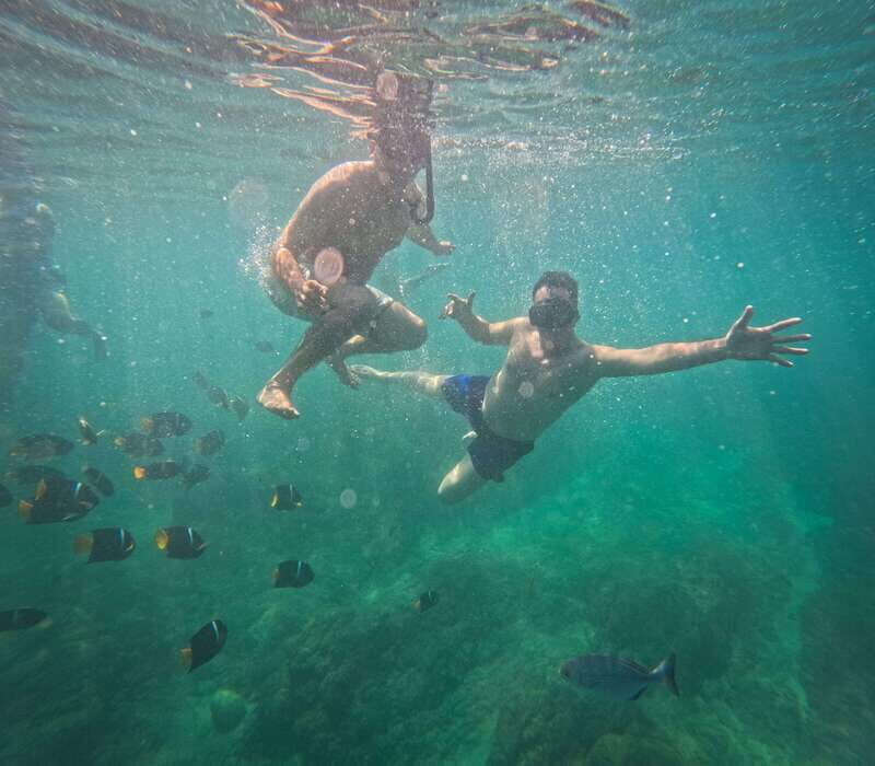 Puerto Vallarta: Zipline Tour, Snorkel & Secret Beach Escape - What the Tour Includes and What You Should Know