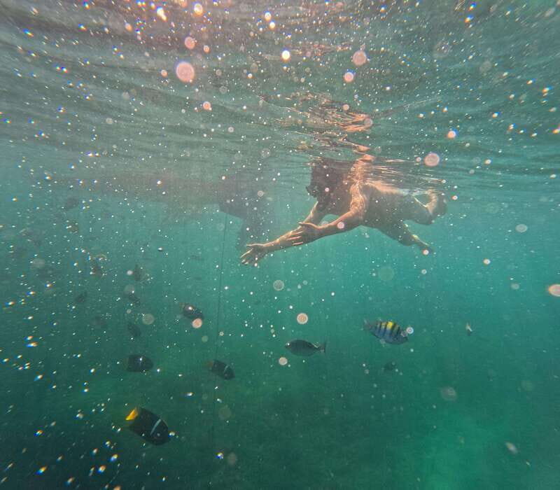 Puerto Vallarta: Zipline Tour, Snorkel & Secret Beach Escape - The Value Proposition