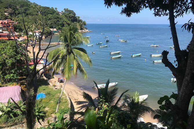 Puerto Vallarta's Yelapa Boat & Walking Tour with Tequila Tasting - Key Points