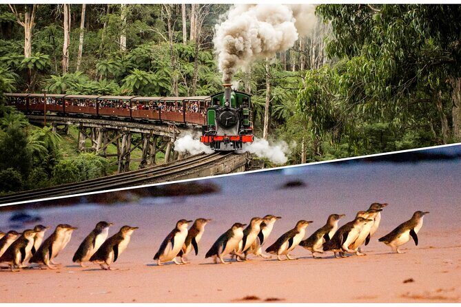 Puffing Billy and Penguin Parade Combo Tour From Melbourne - Introduction