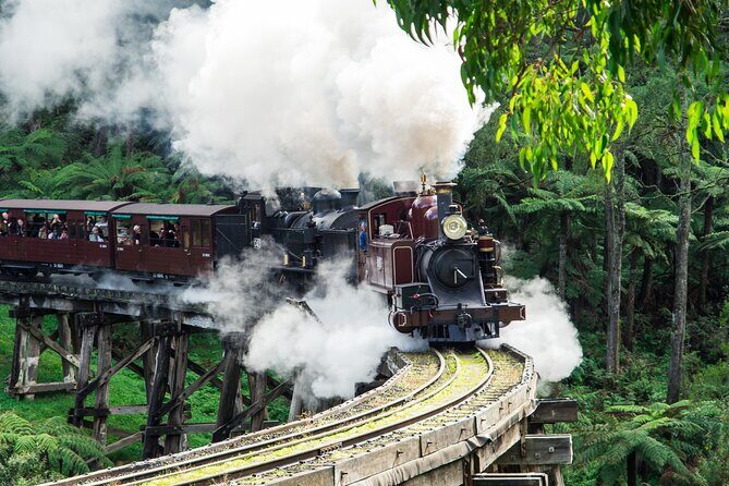 Puffing Billy And Phillip Island Penguin Parade Bus Tour - Key Points