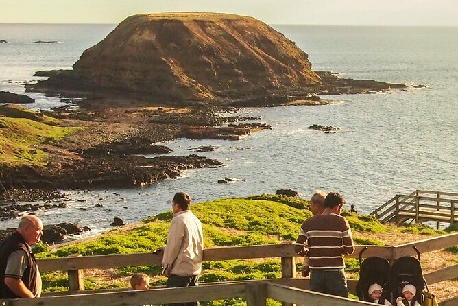 Puffing Billy And Phillip Island Penguin Parade Bus Tour - An In-Depth Look at the Tour Experience