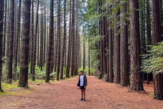 Puffing Billy, Forest Trails and Yarra Valley Discovery Tour - Final Thoughts: Who Will Love This Tour?