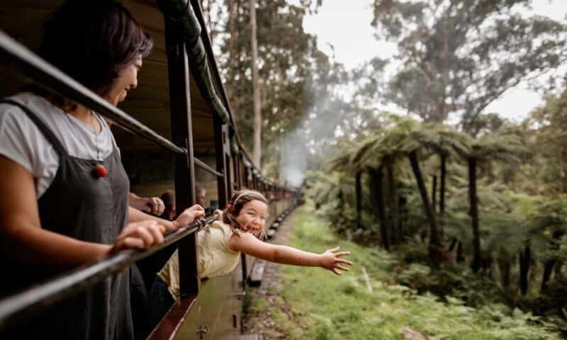 Puffing Billy, Forest Trails & Yarra Valley Discovery Tour - Key Points