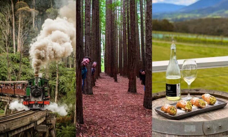 Puffing Billy, Forest Trails & Yarra Valley Discovery Tour - What to Expect on this Tour