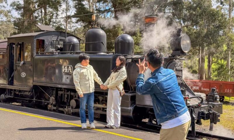 Puffing Billy, Forest Trails & Yarra Valley Discovery Tour - Who Will Love This Tour?