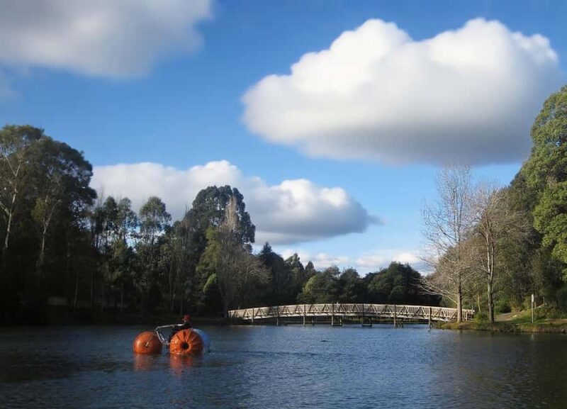 Puffing Billy Penguin Parade Mercedes Minibus Hotel Pickup - FAQ