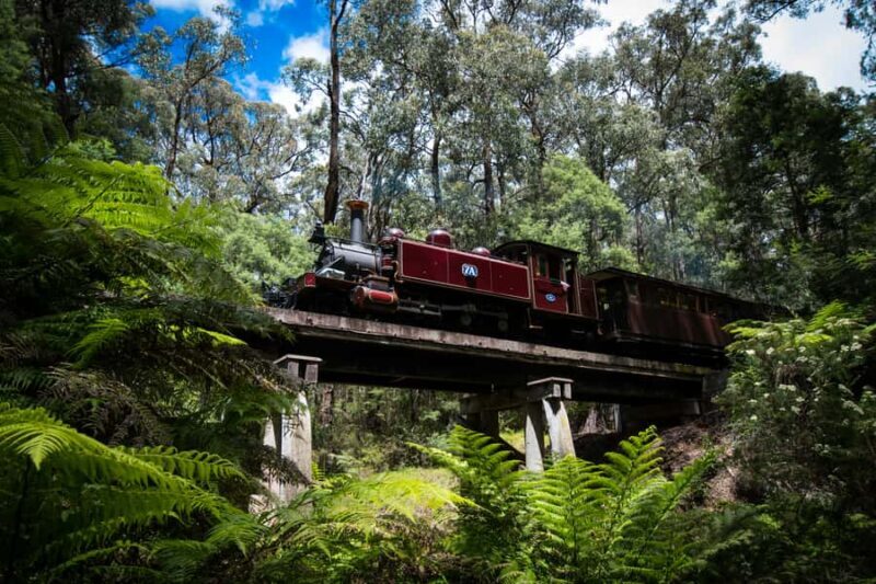 Puffing Billy Railway: Heritage Steam Train Journey - The Sum Up