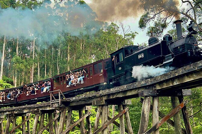 Puffing Billy Tour and Penguin Parade from Melbourne - An Authentic Day of Nature and Wildlife