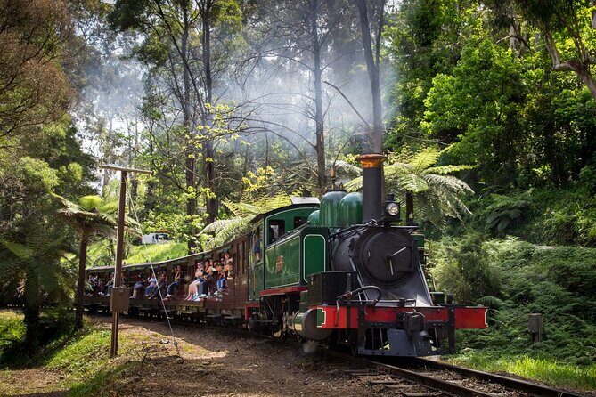 Puffing Billy Tour and Penguin Parade from Melbourne - Who Should Consider This Tour?