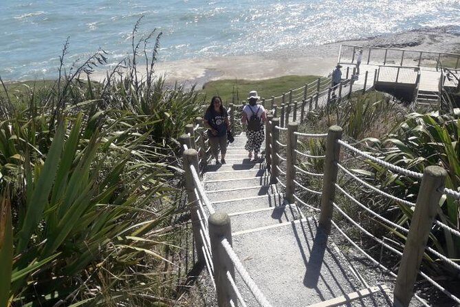 Punakaiki Blow Holes & Pancake Rocks Scenic Tour - The Itinerary Breakdown: What to Expect