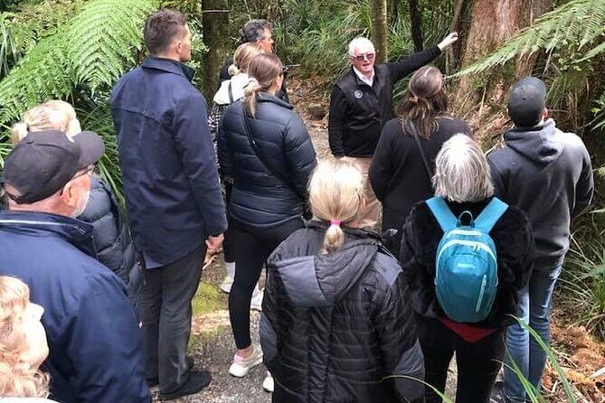 Punakaiki Blow Holes & Pancake Rocks Scenic Tour - Who Will Love This Tour?