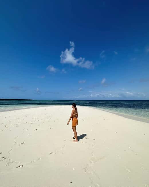 Pungume beach, sandbank BBQ and snorkeling - Key Points