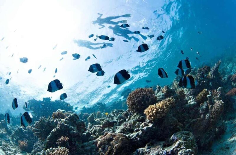 Pungume island, saalam cave and mtende beach day tour - What’s Included & What’s Not