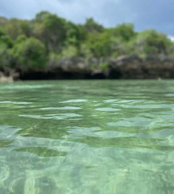 Pungume island, saalam cave and mtende beach day tour - Why This Tour Stands Out